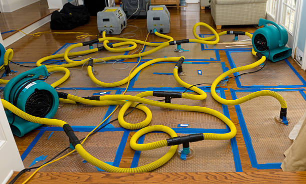 Professional Water Extraction technician working in Lewisville, TX